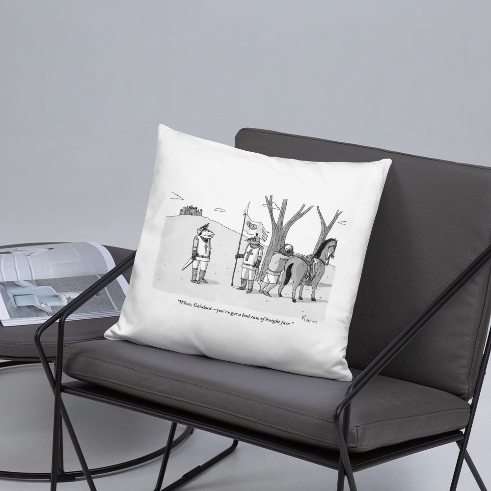 Premium Pillow