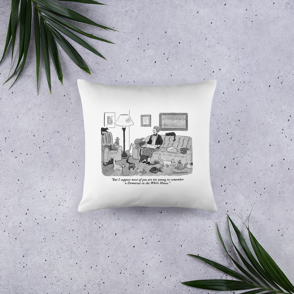 Premium Pillow