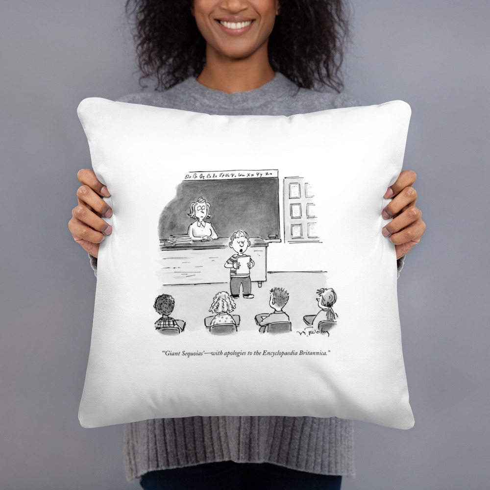 Premium Pillow