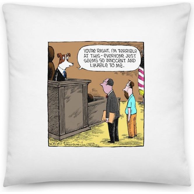 Premium Pillow