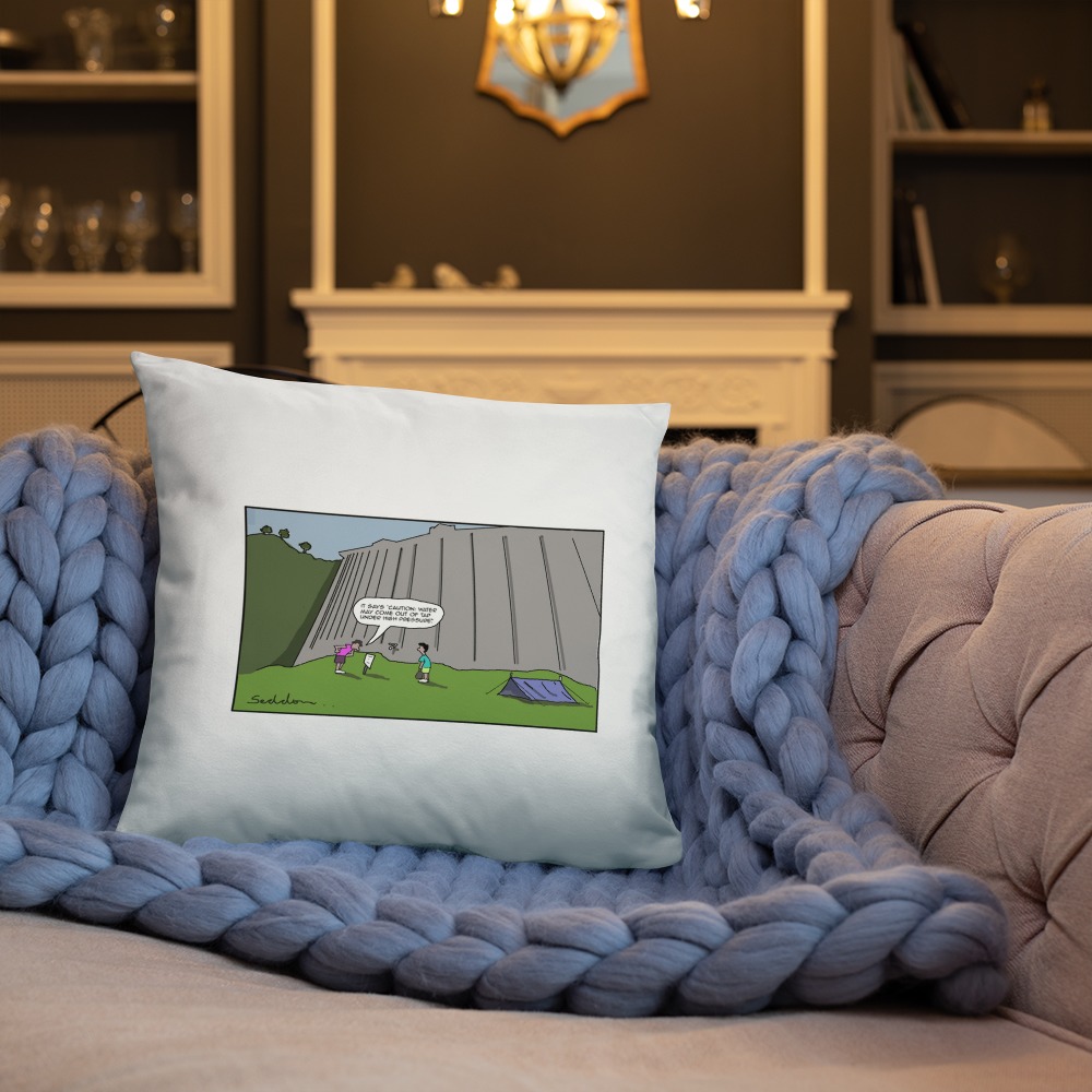 Premium Pillow