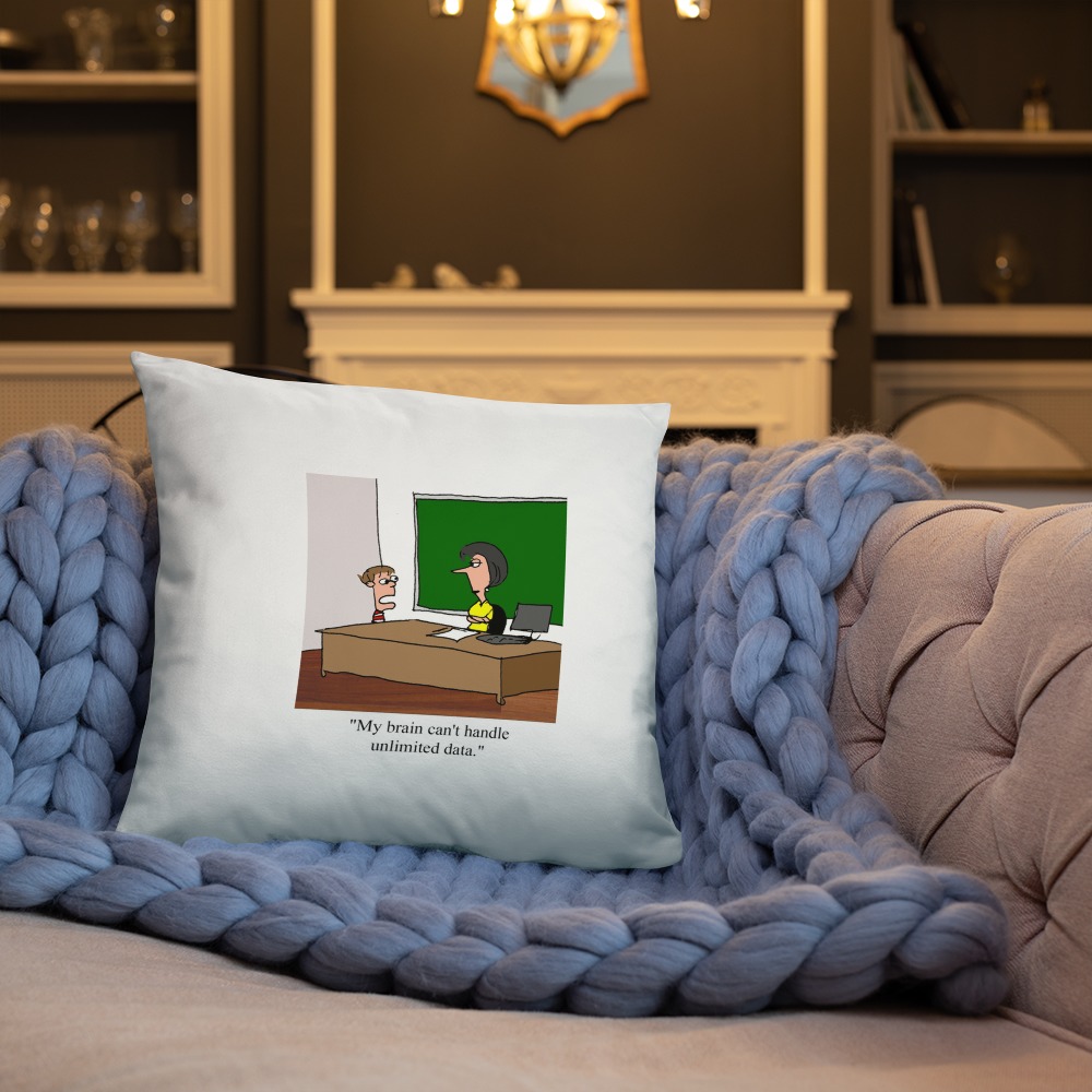 Premium Pillow