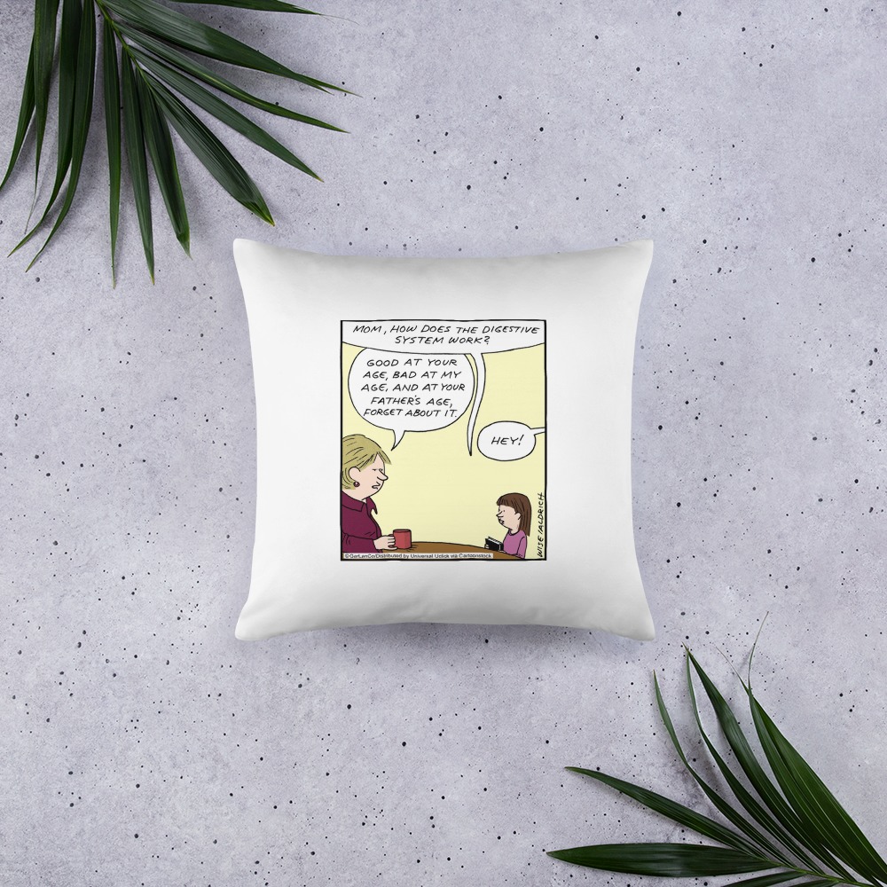 Premium Pillow