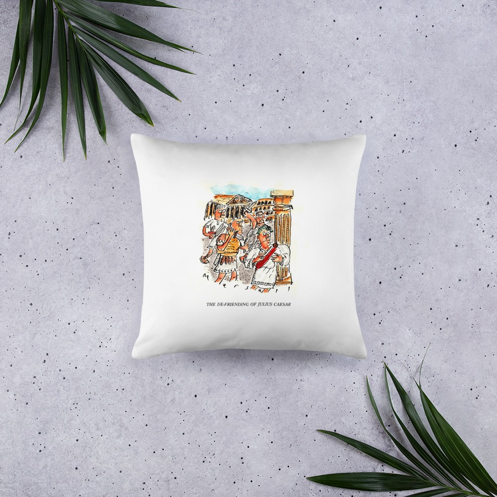 Premium Pillow