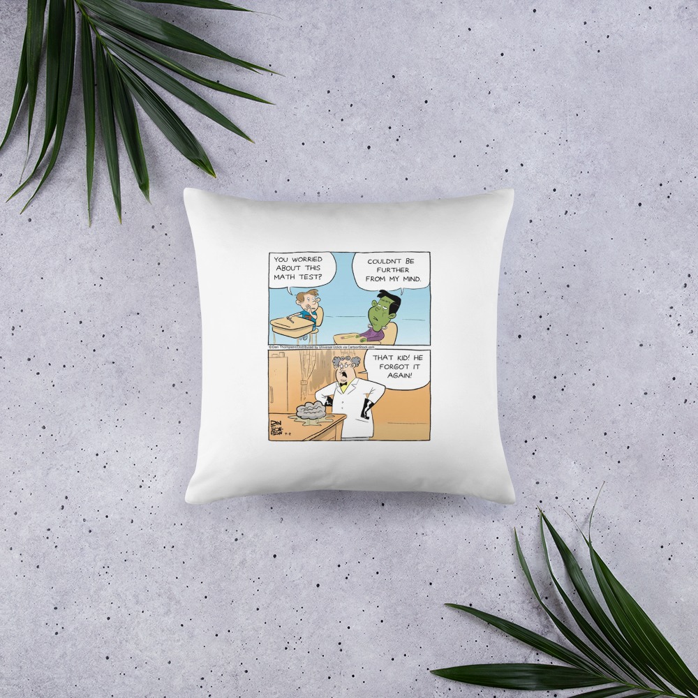 Premium Pillow
