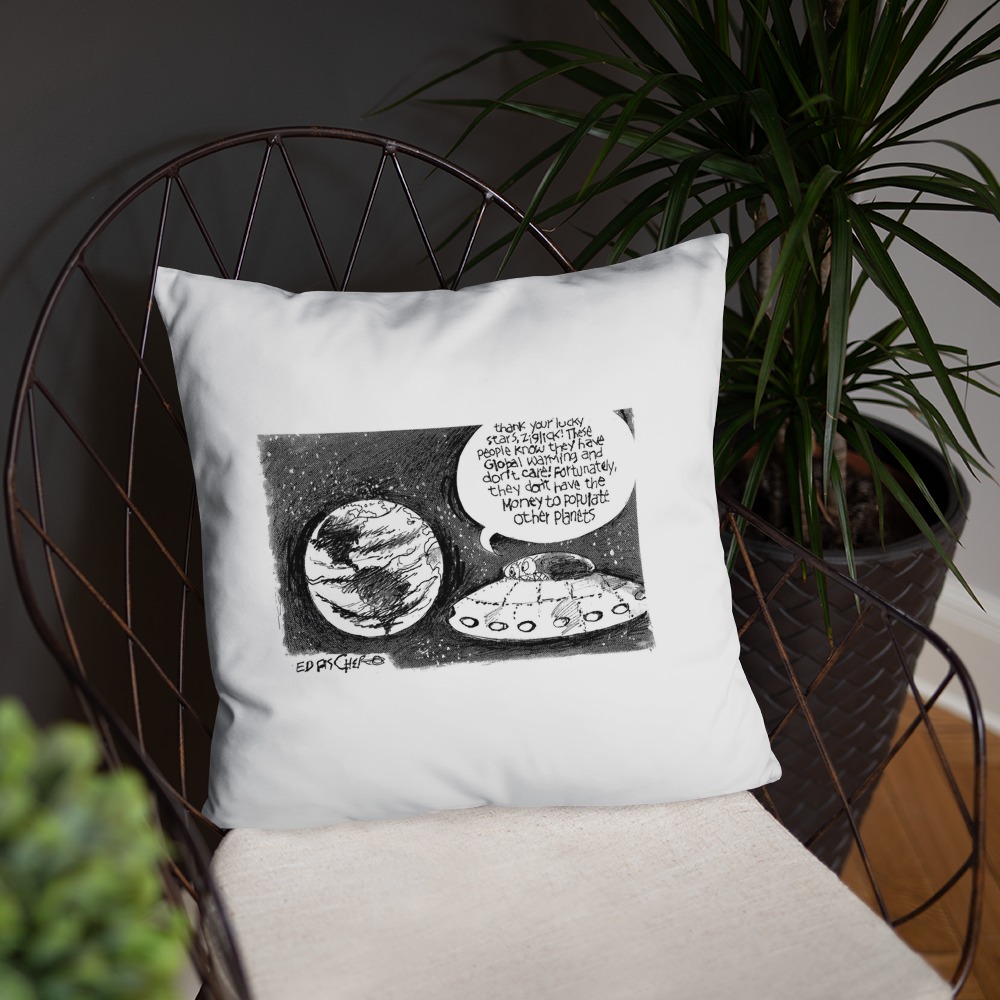 Premium Pillow