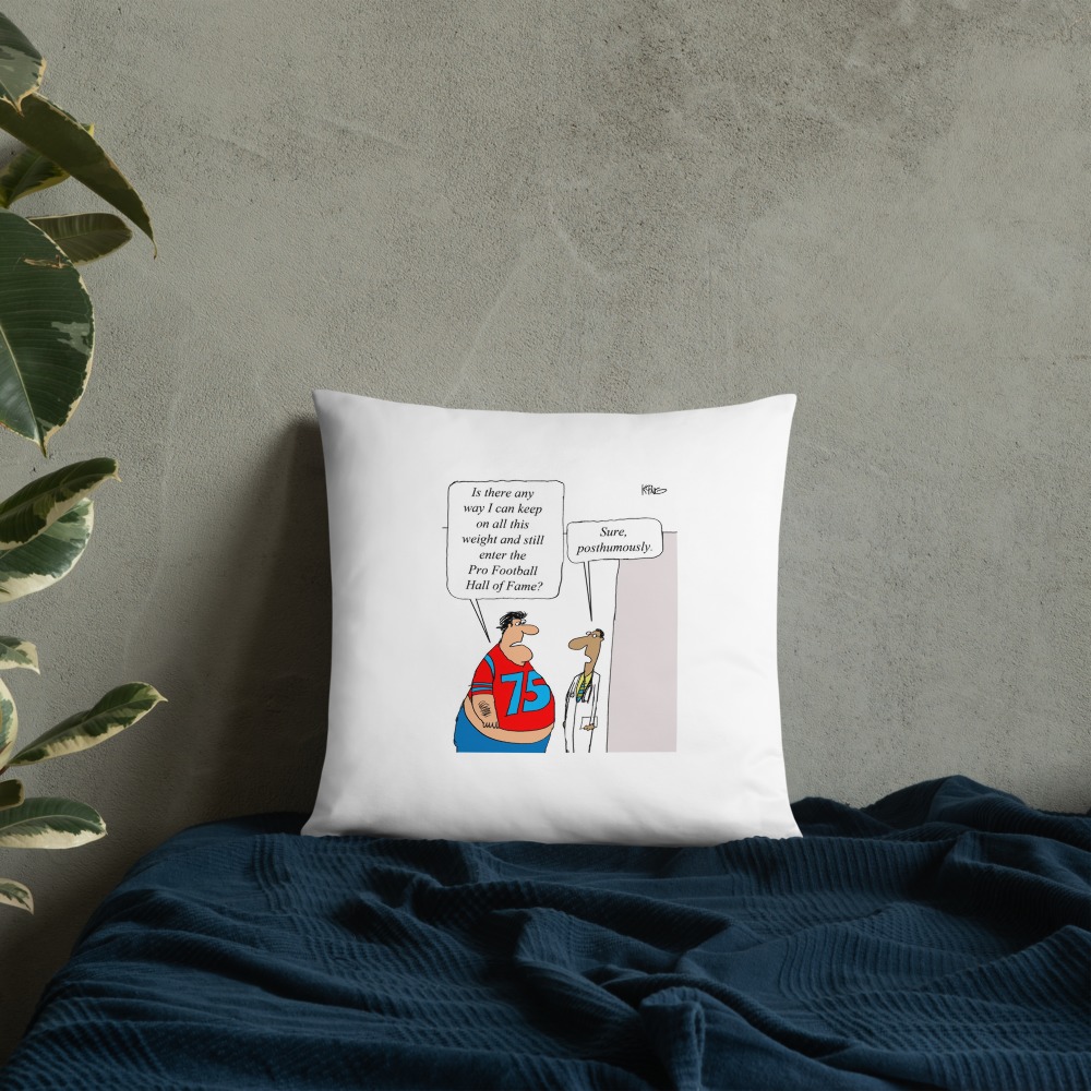 Premium Pillow