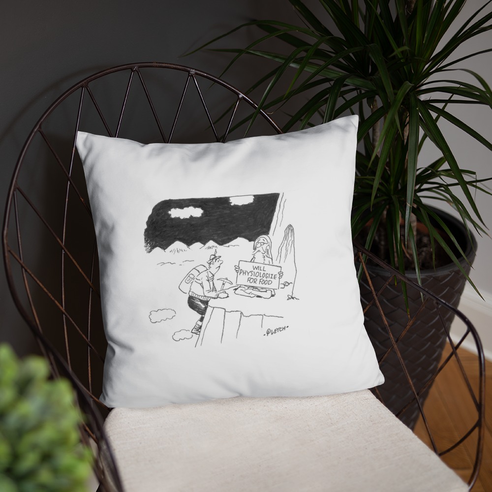 Premium Pillow