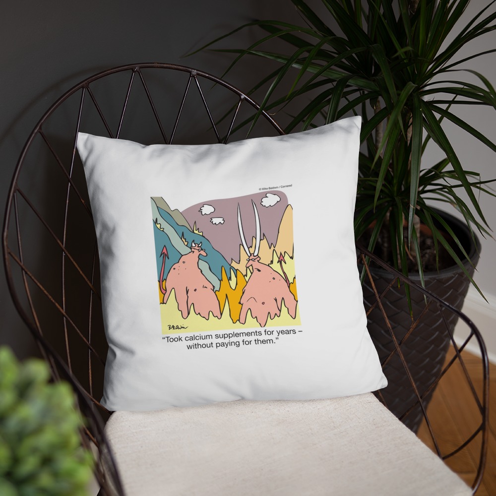 Premium Pillow