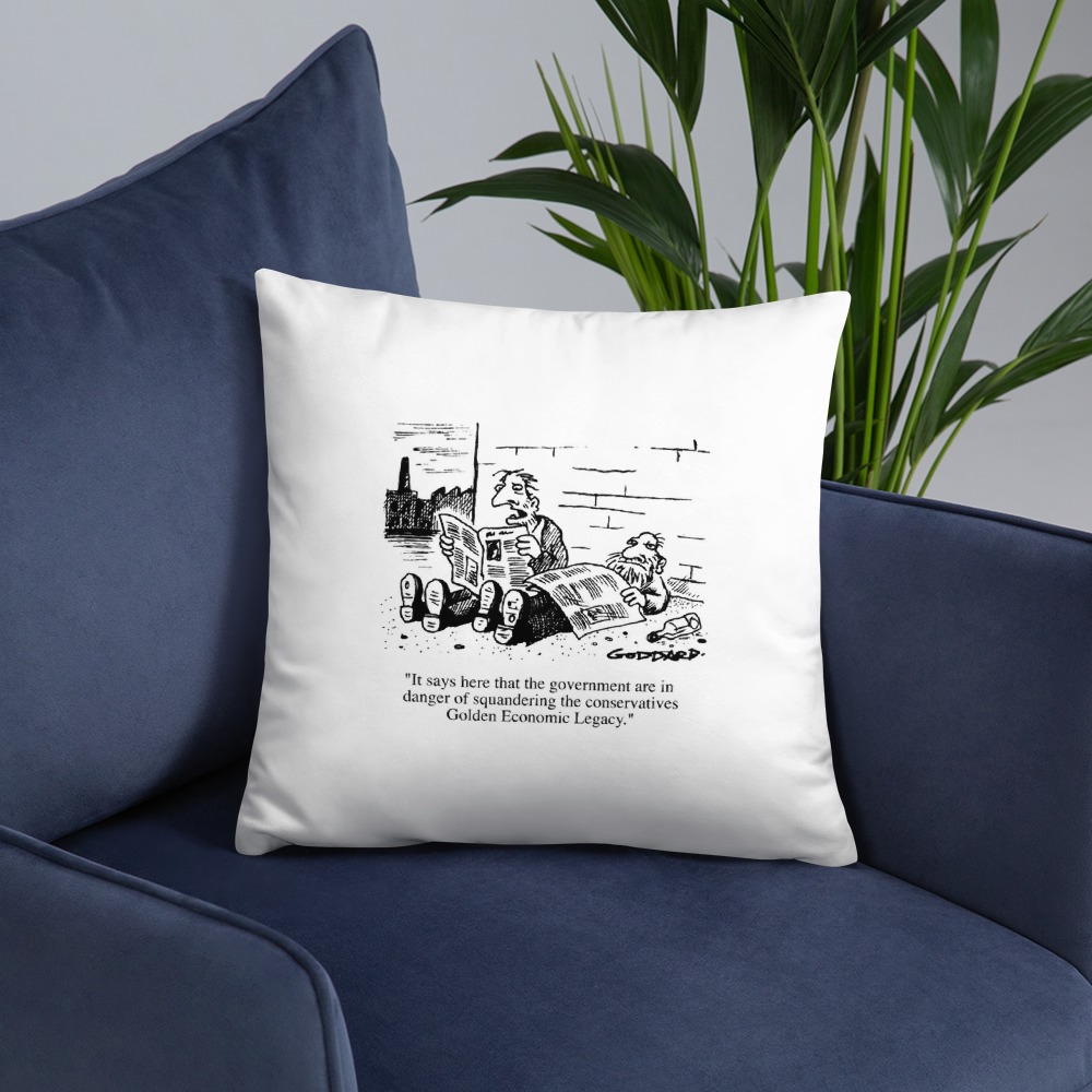 Premium Pillow
