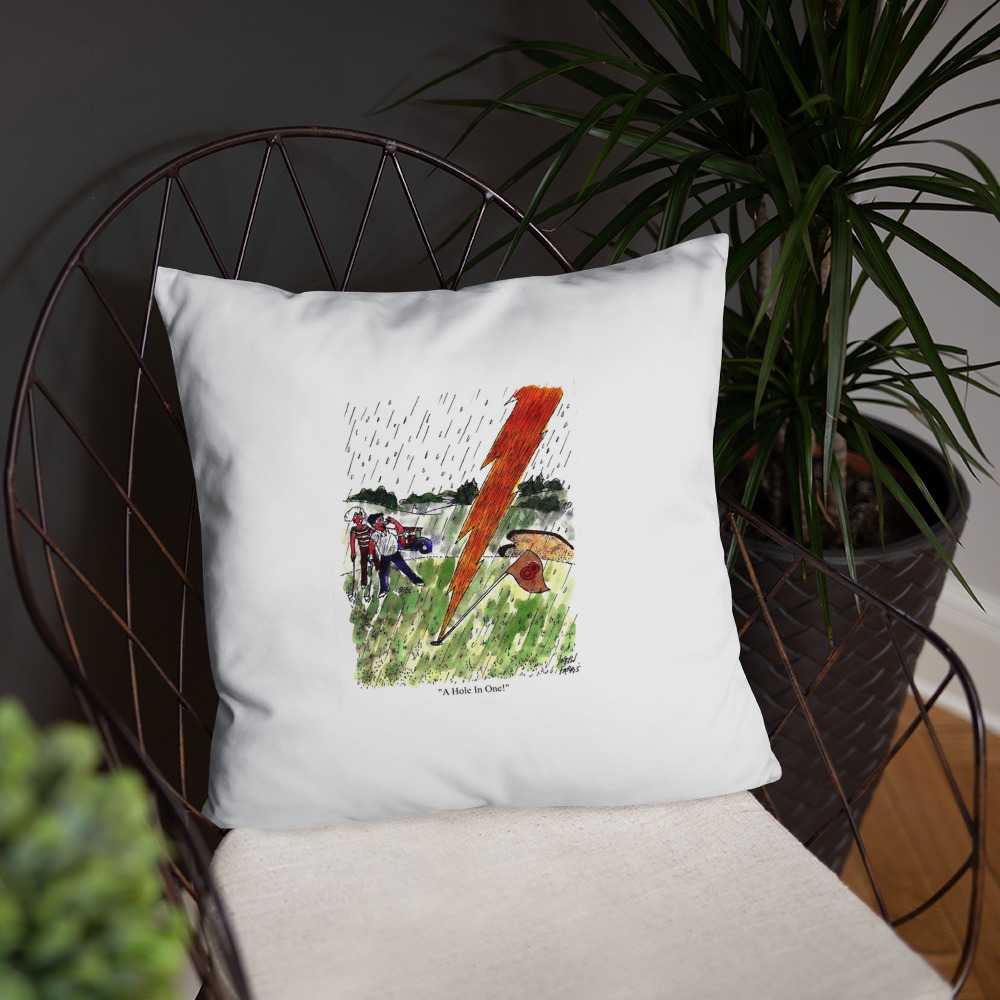 Premium Pillow