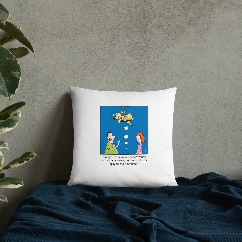 Premium Pillow