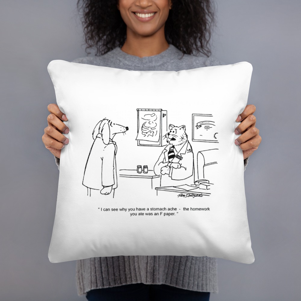 Premium Pillow