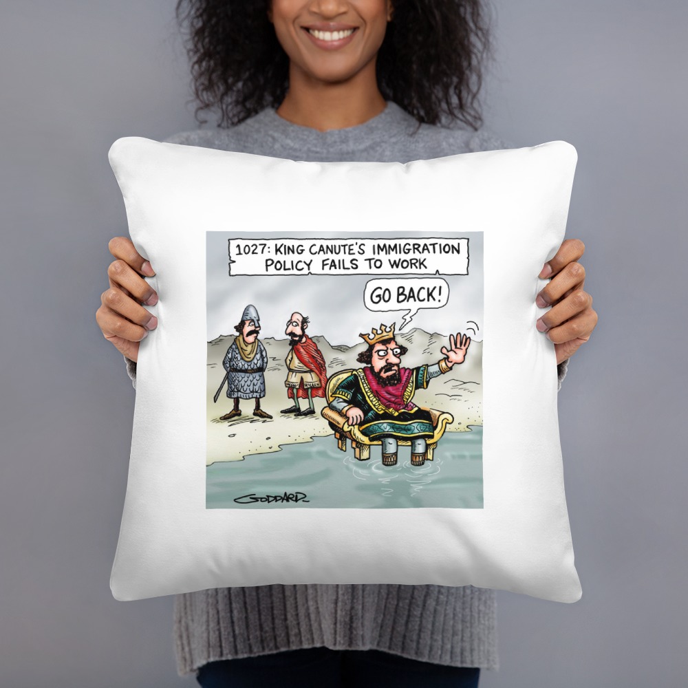 Premium Pillow