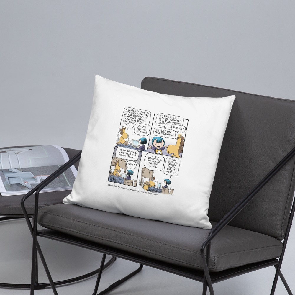 Premium Pillow