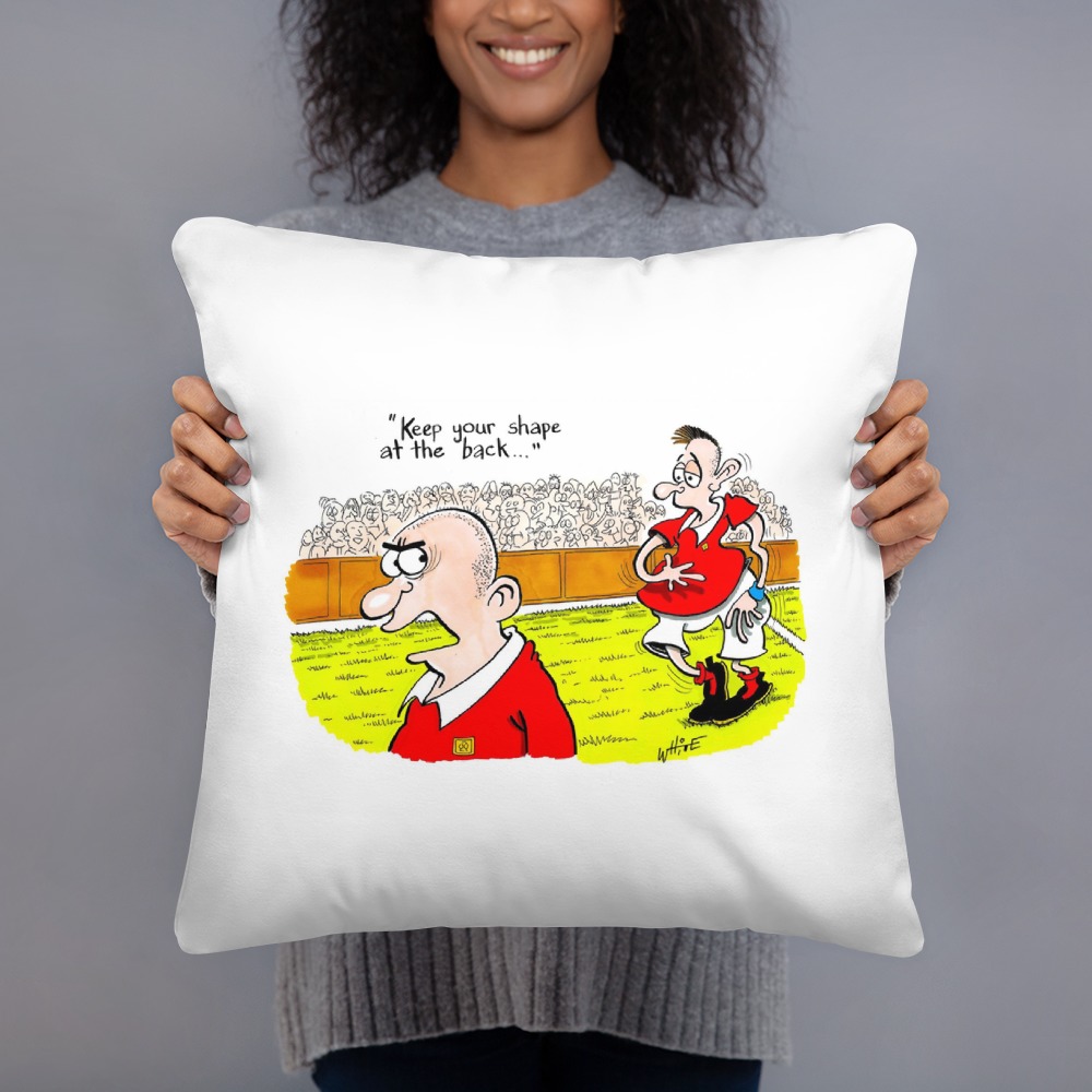 Premium Pillow