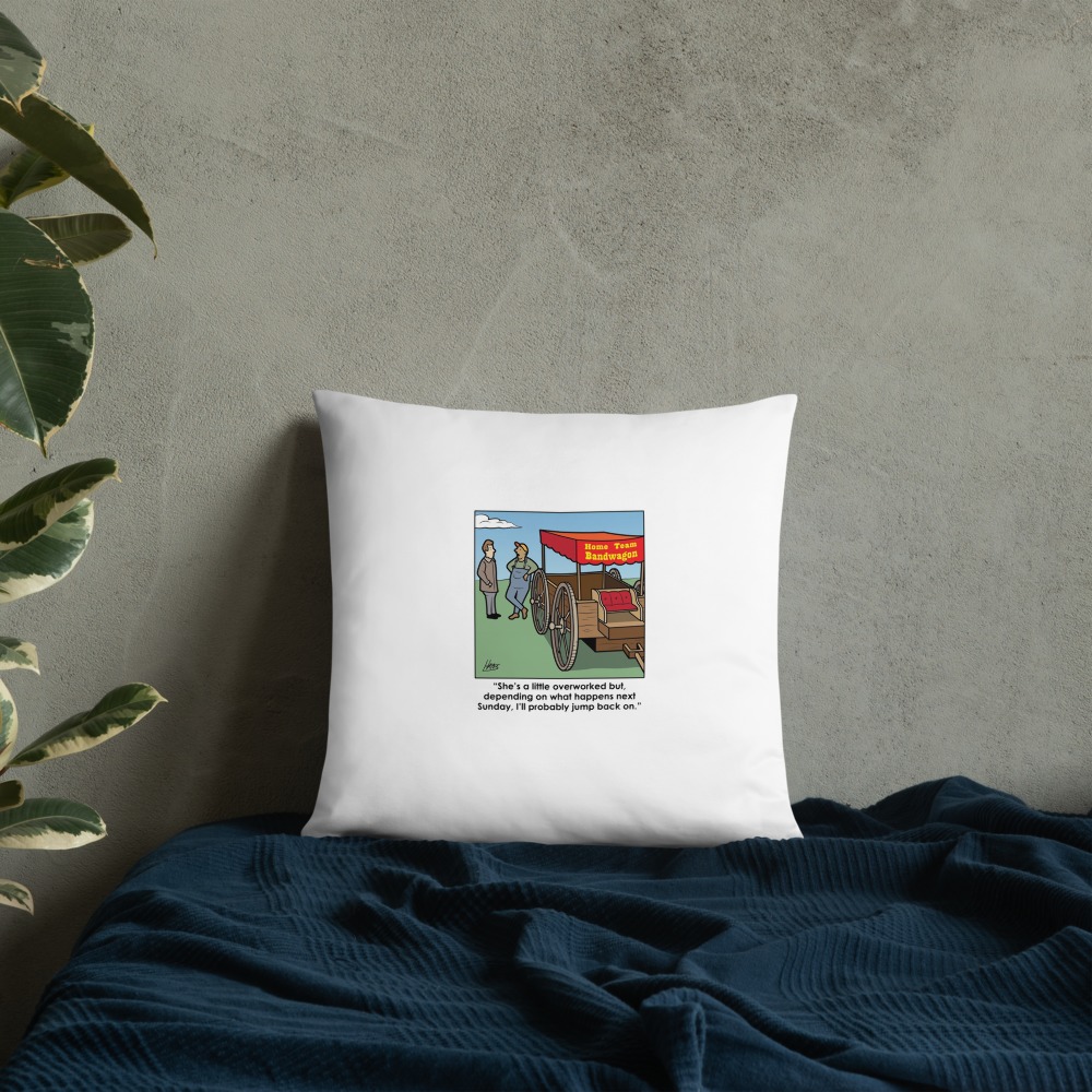 Premium Pillow