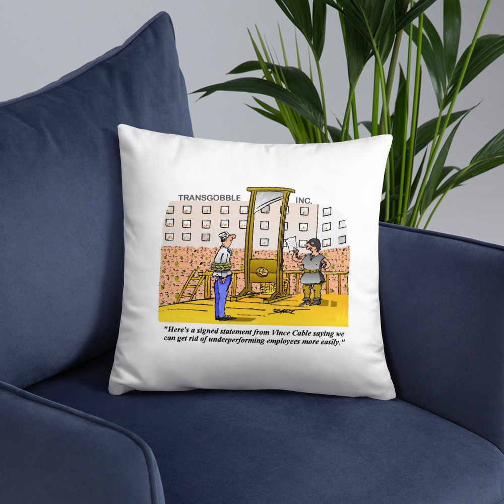 Premium Pillow