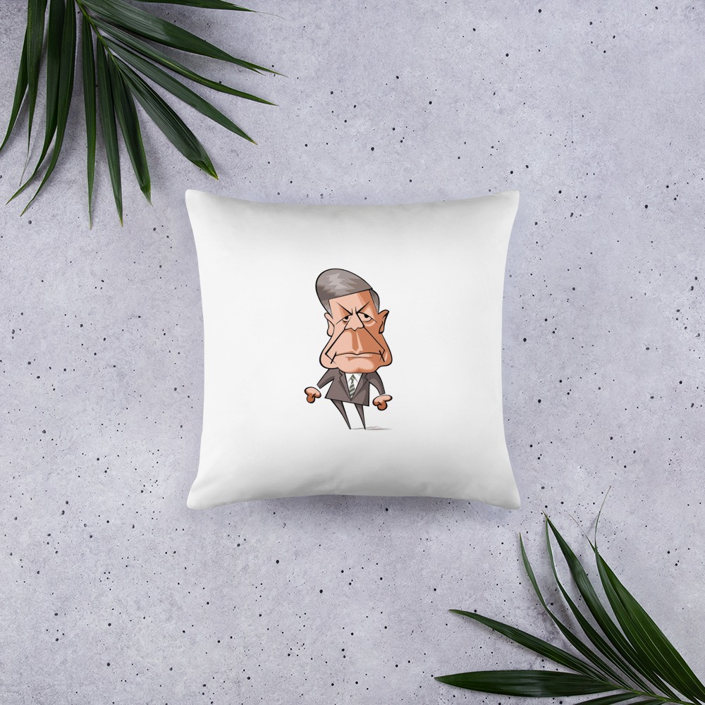 Premium Pillow