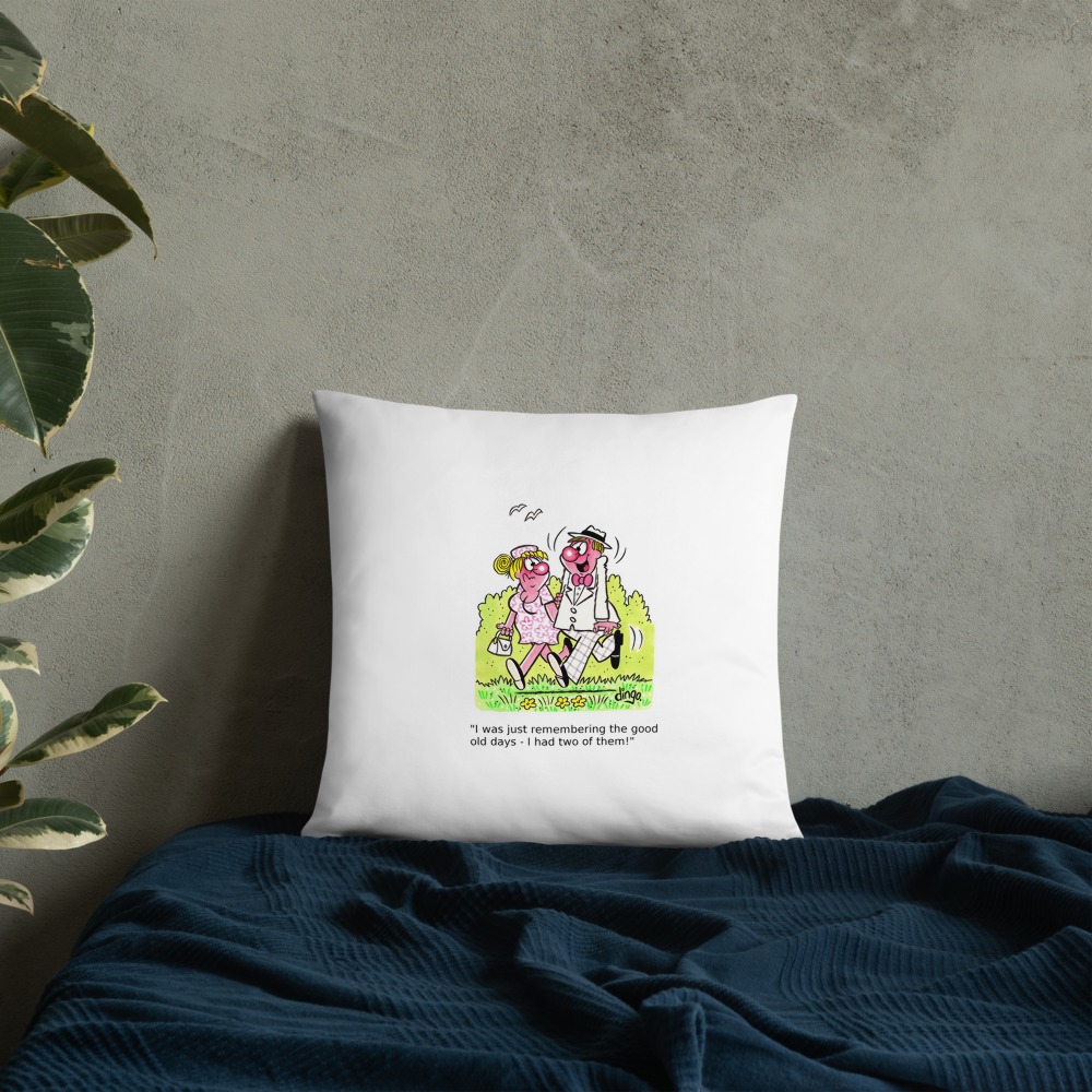 Premium Pillow