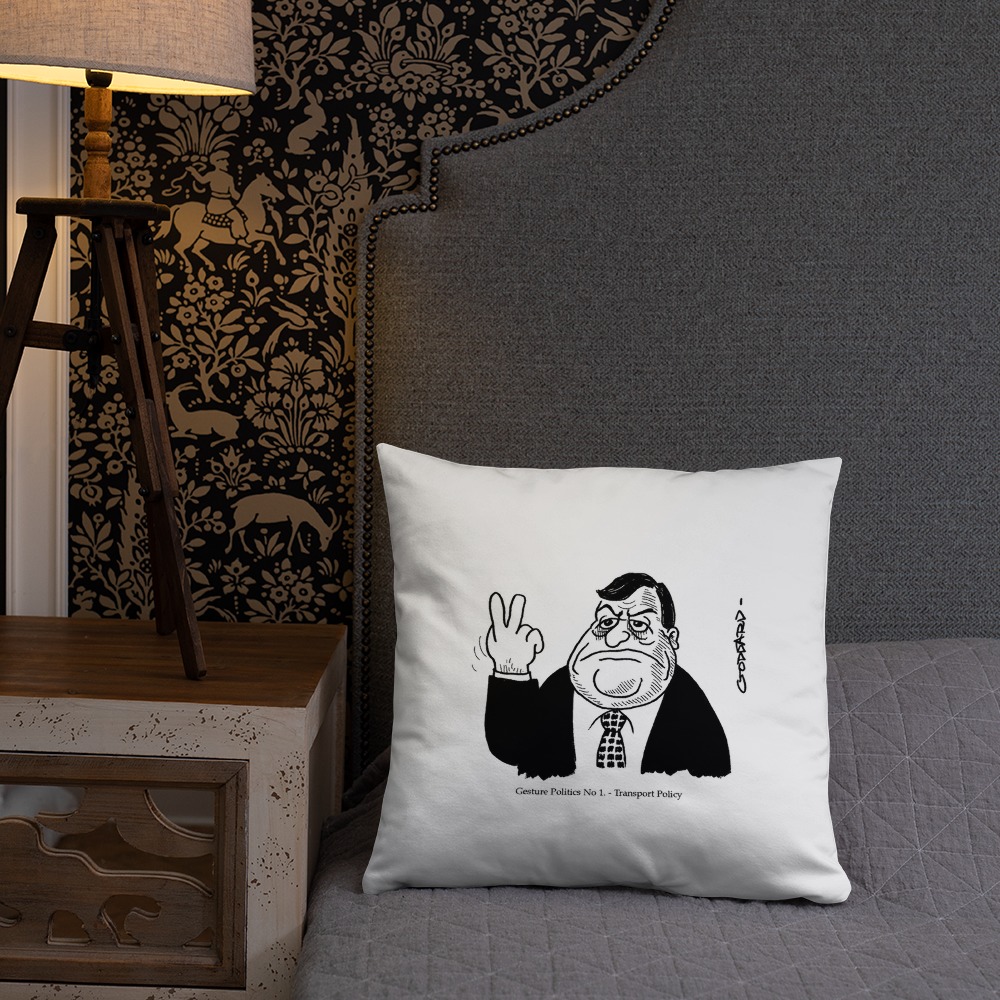Premium Pillow