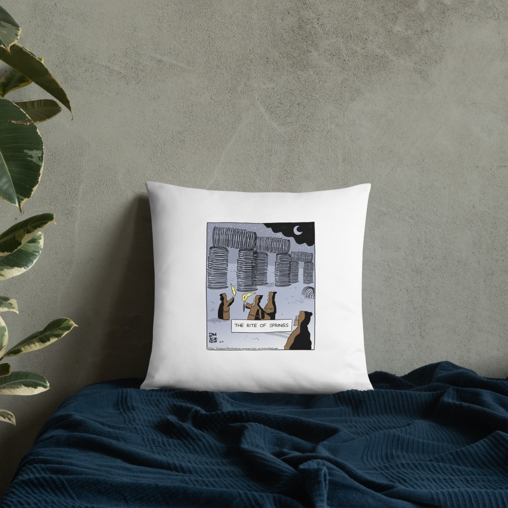 Premium Pillow