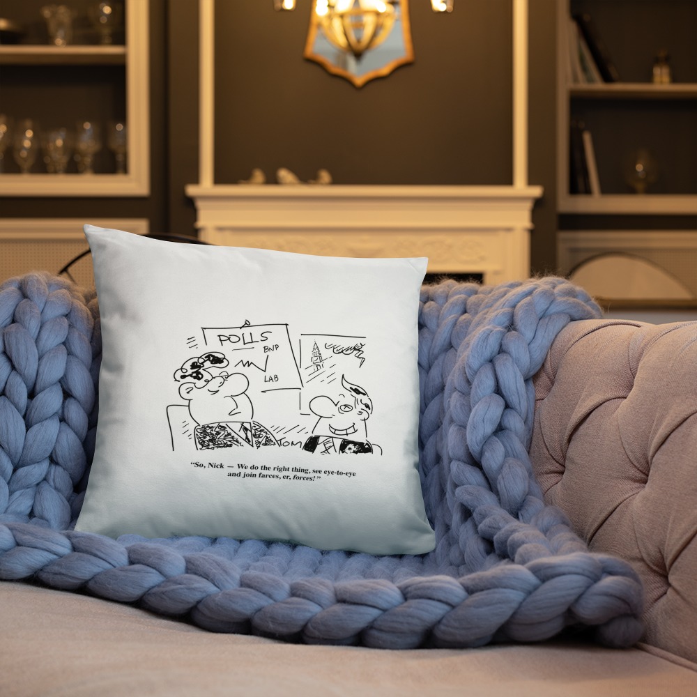 Premium Pillow