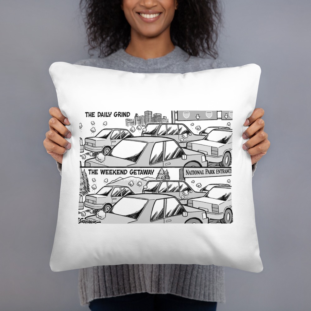 Premium Pillow