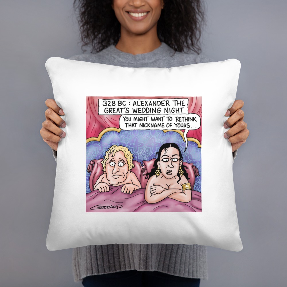 Premium Pillow