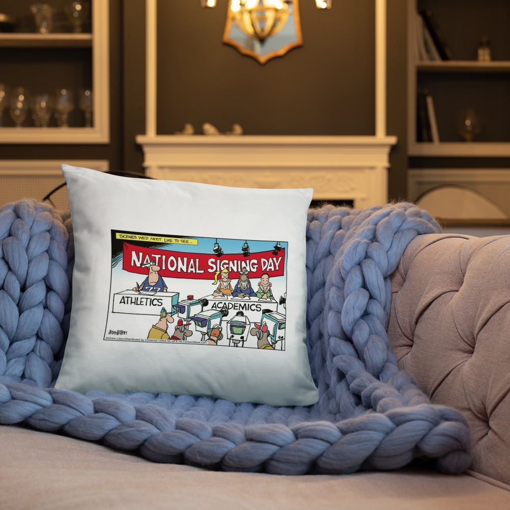 Premium Pillow