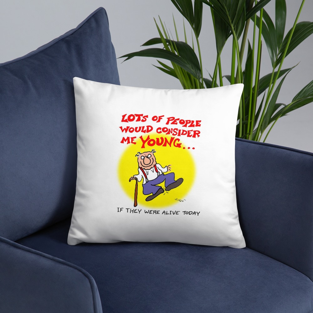 Premium Pillow