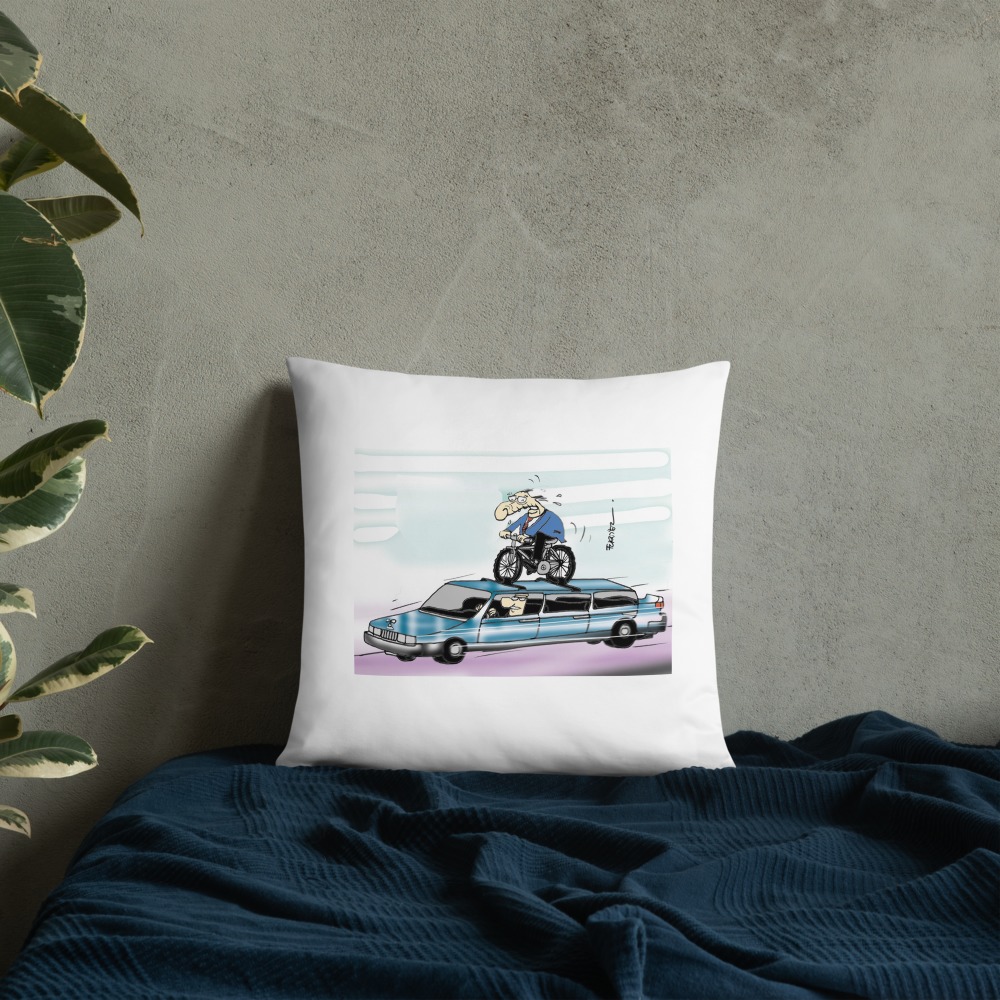 Premium Pillow