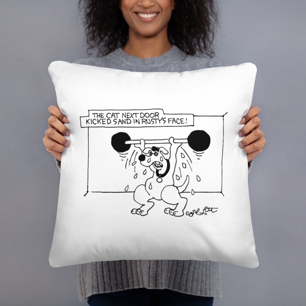 Premium Pillow