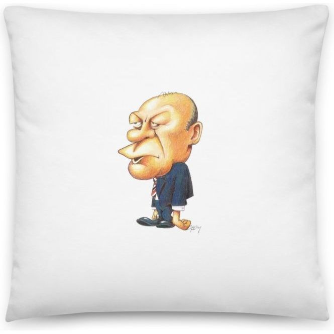 Premium Pillow