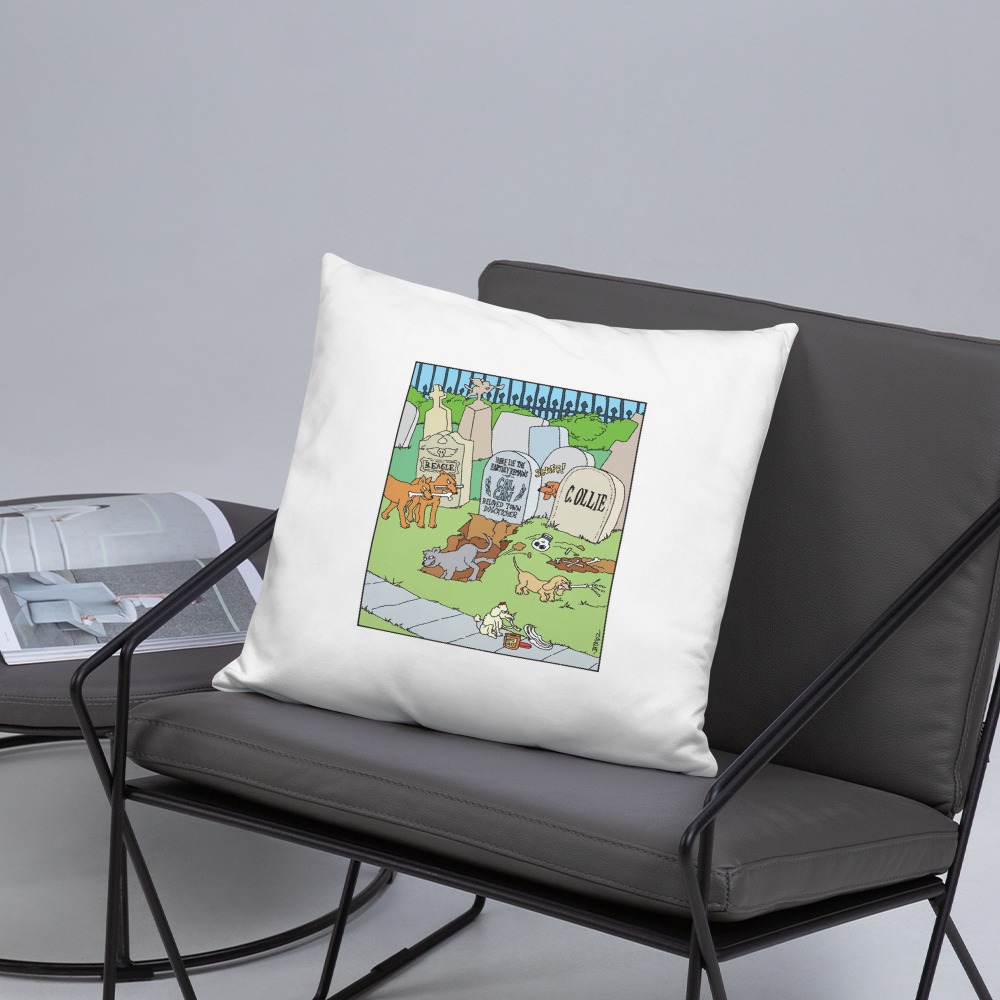 Premium Pillow