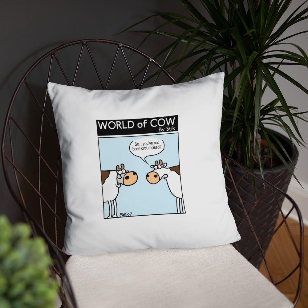 Premium Pillow
