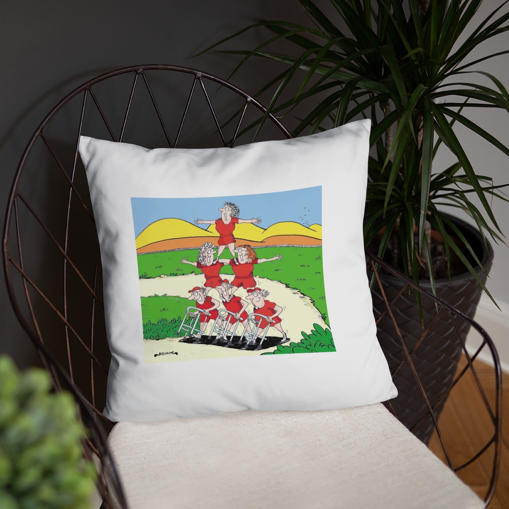 Premium Pillow