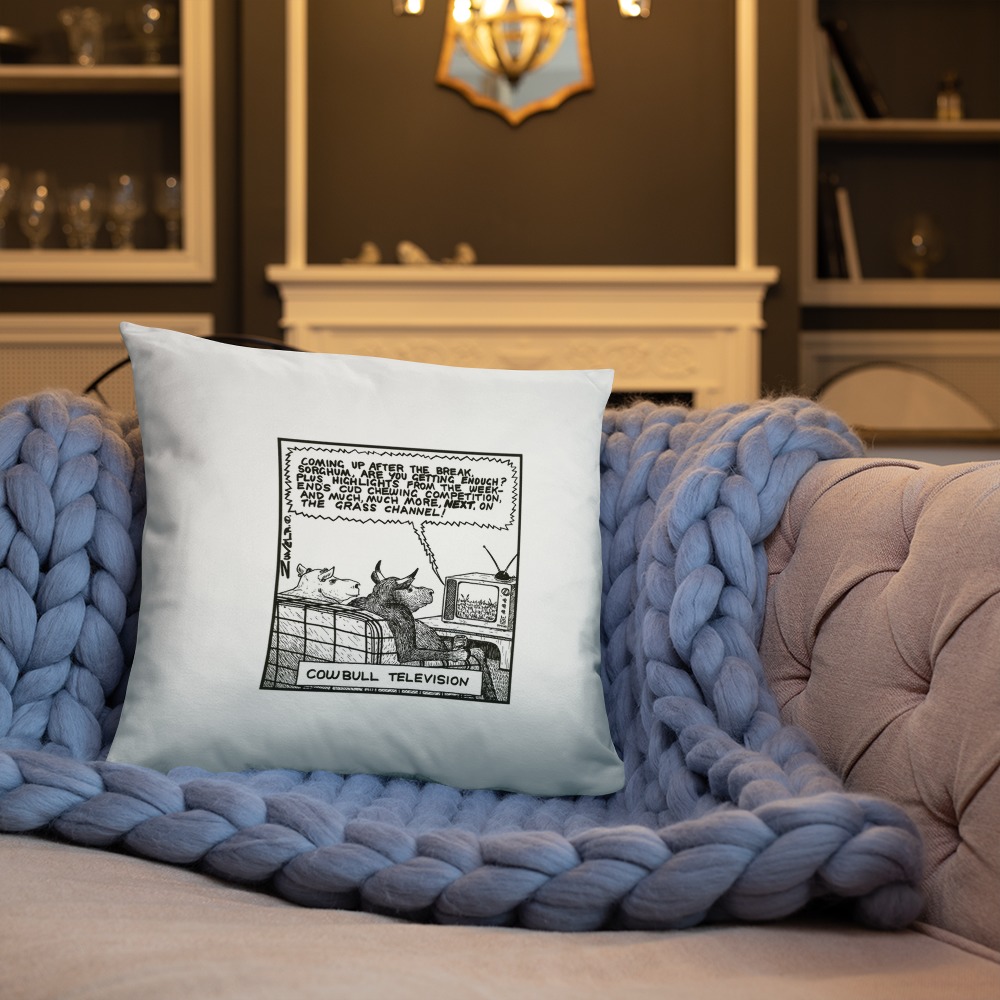 Premium Pillow
