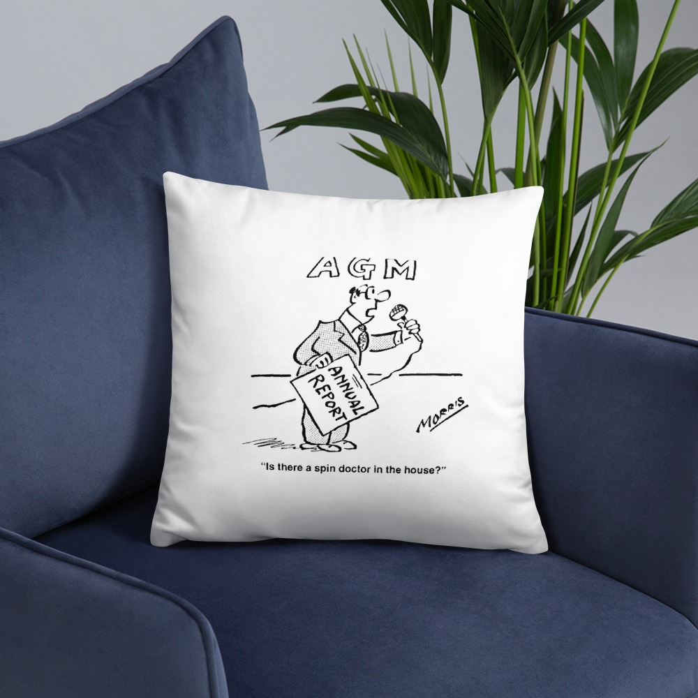 Premium Pillow