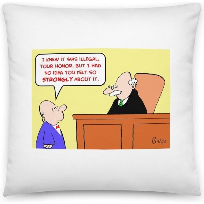 'I knew it was illegal, Your Honor, but I had no idea you felt so strongly about it.'