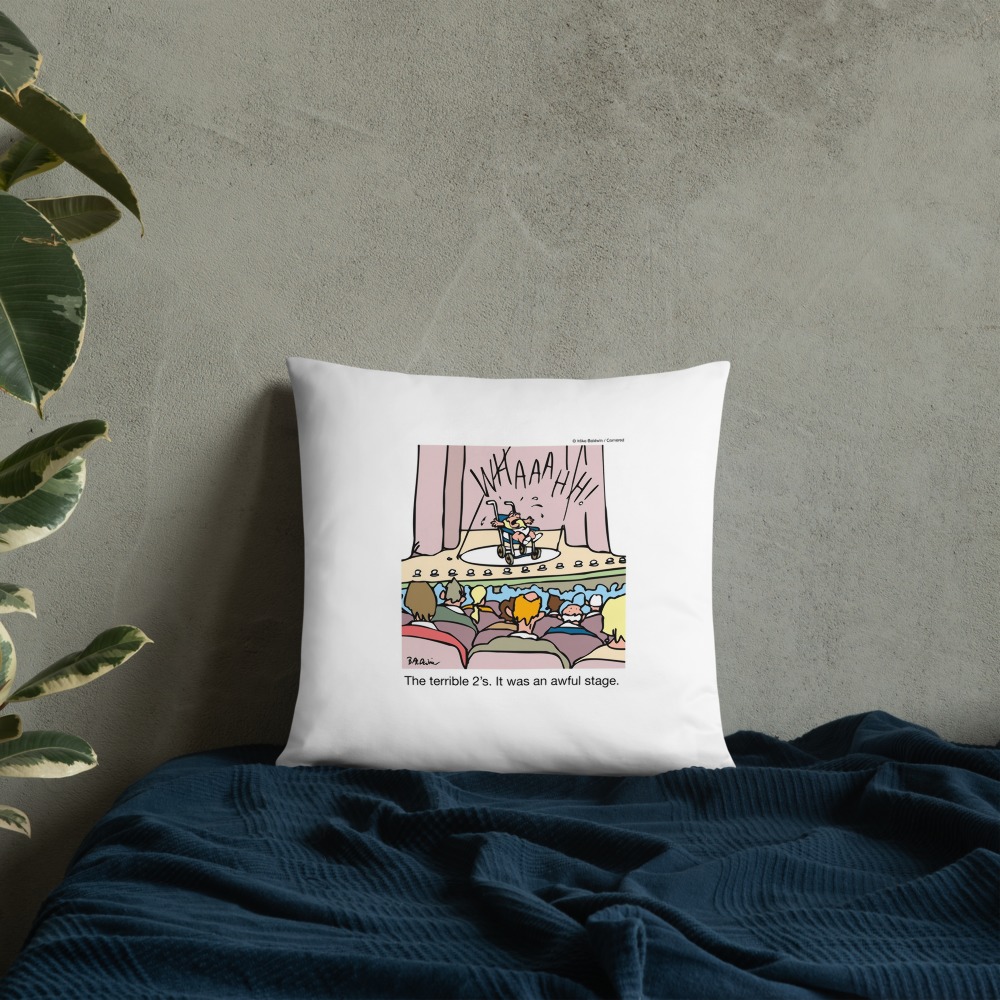 Premium Pillow