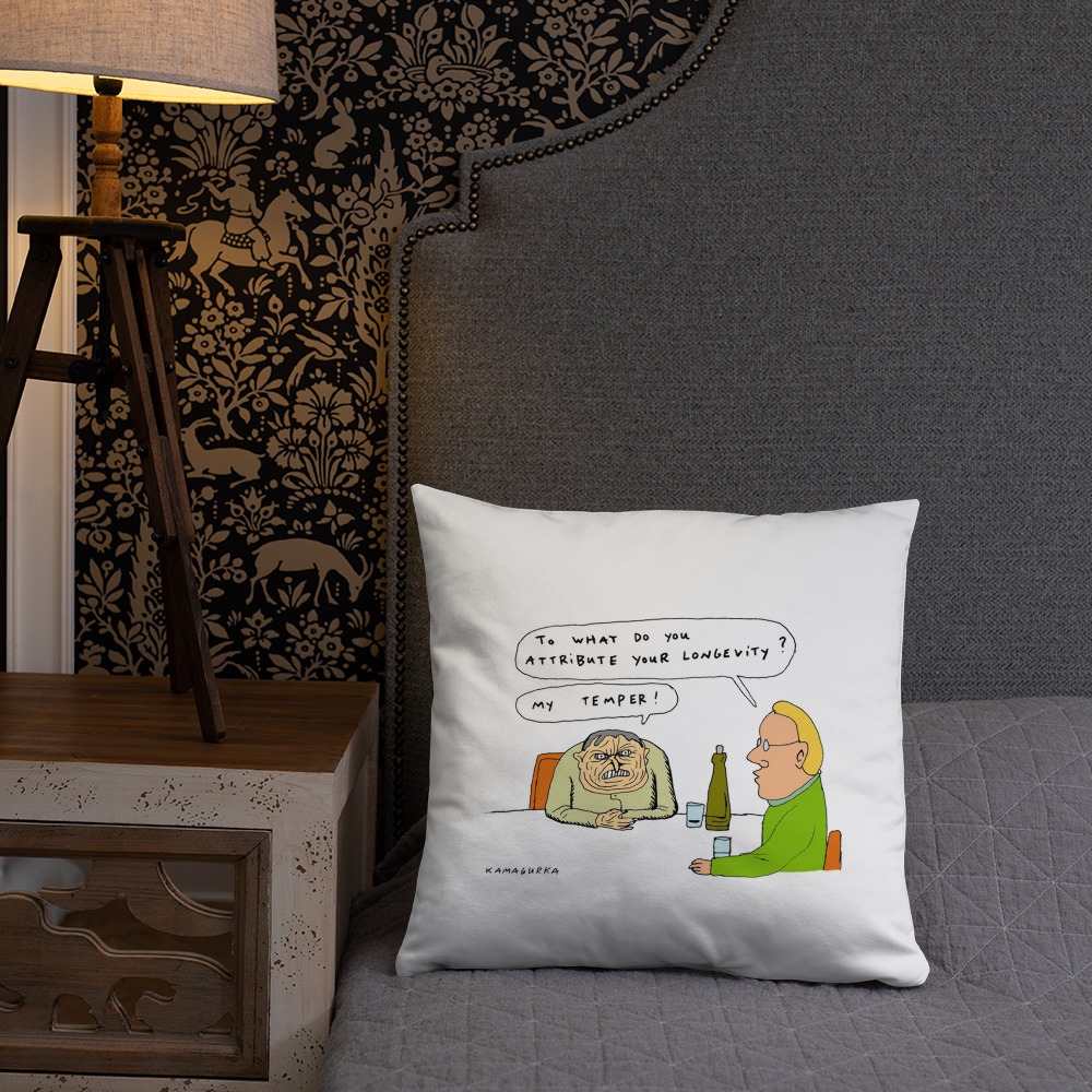 Premium Pillow