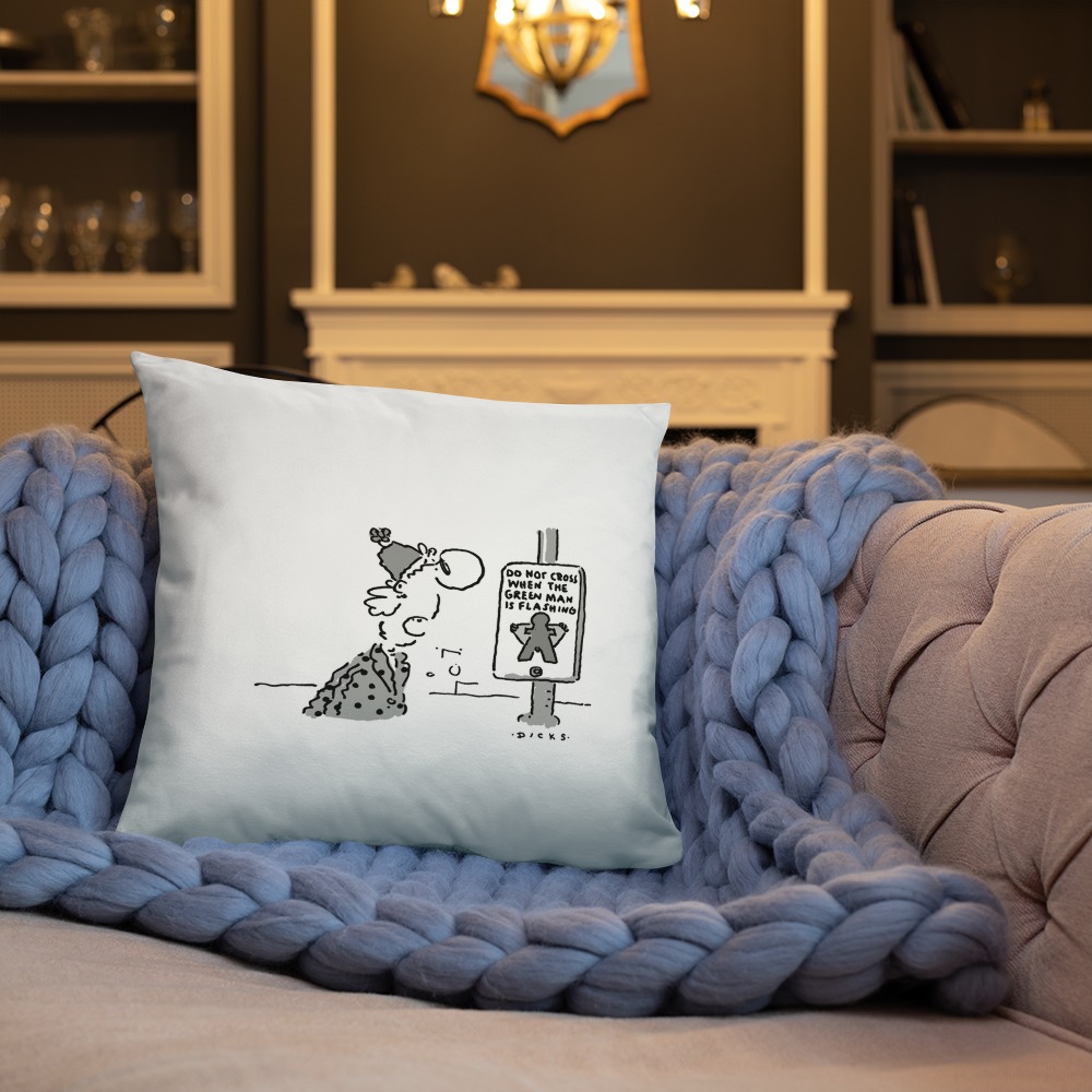Premium Pillow