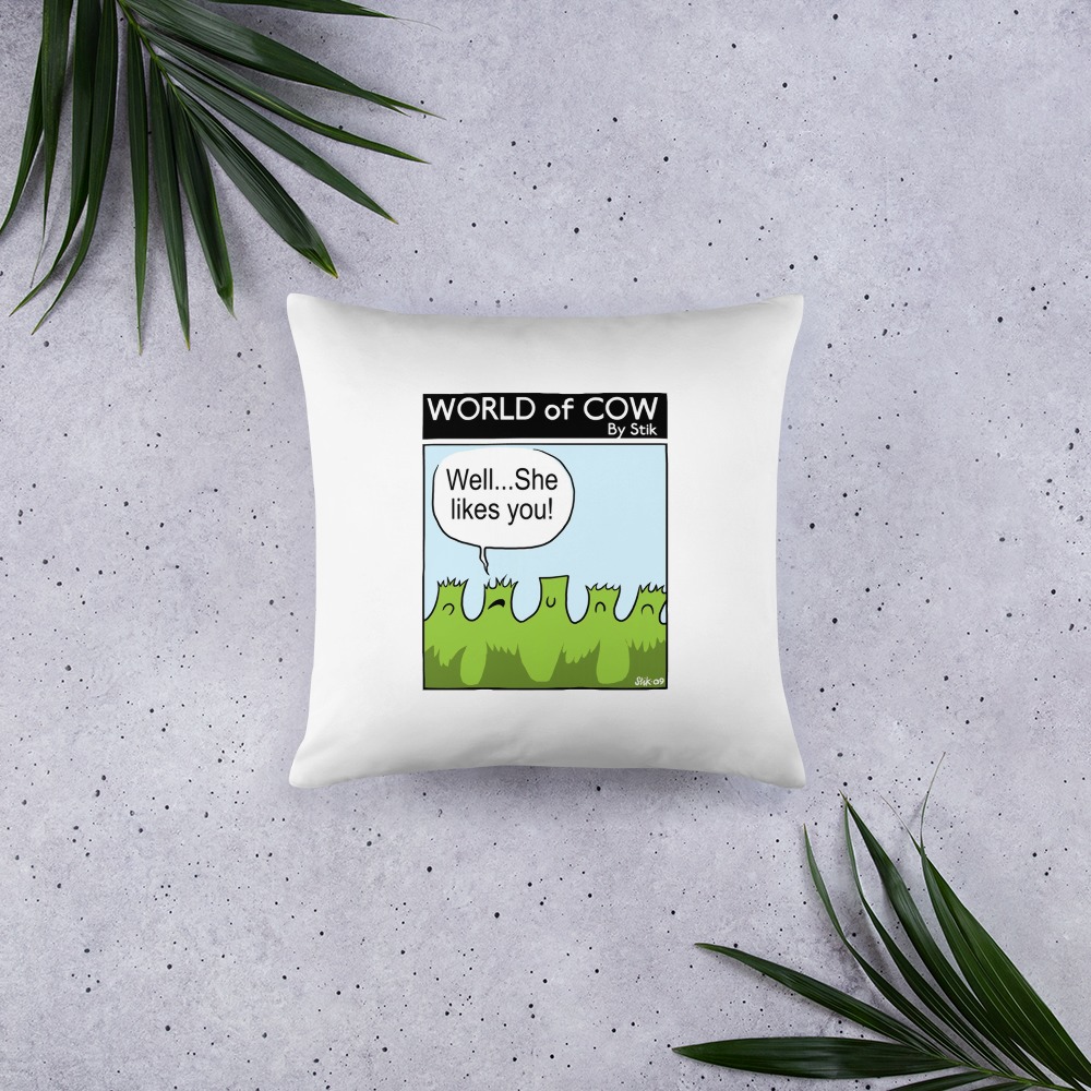 Premium Pillow