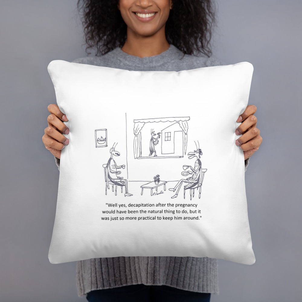 Premium Pillow