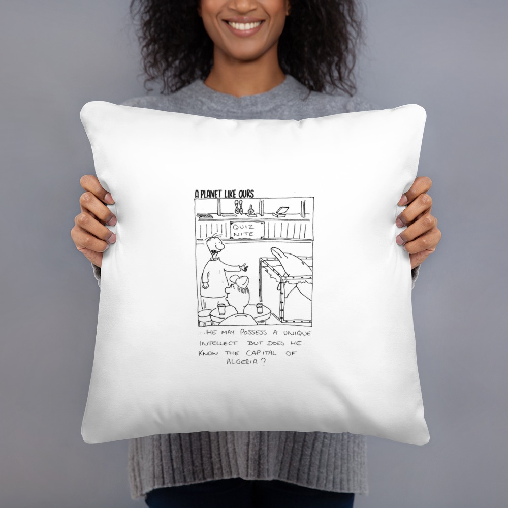 Premium Pillow