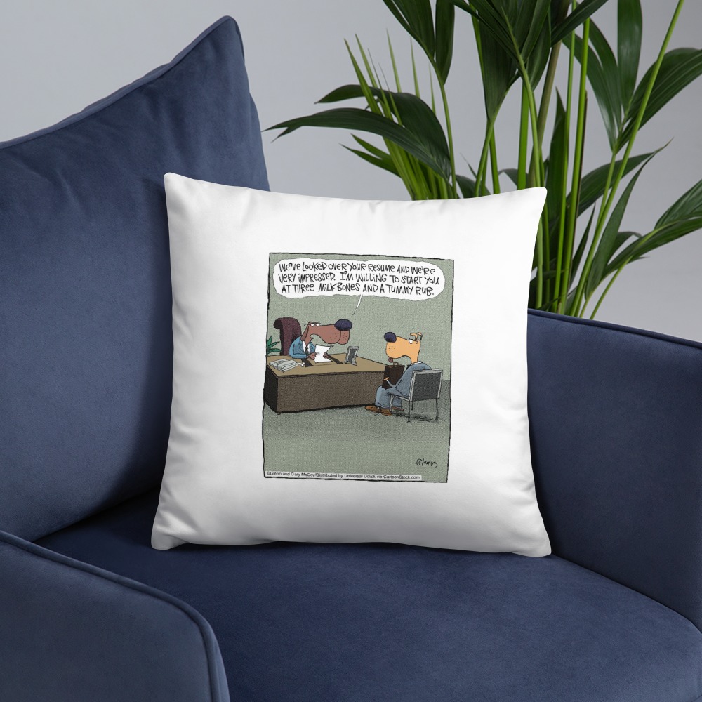 Premium Pillow