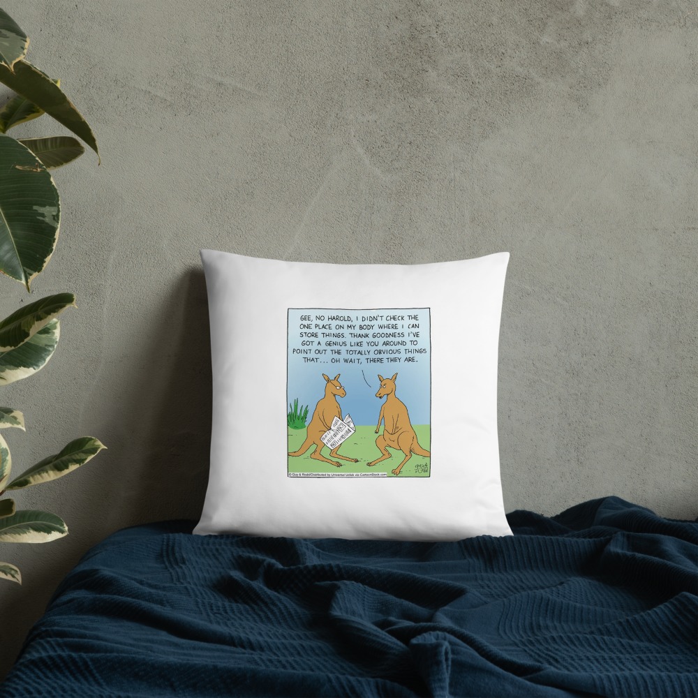 Premium Pillow