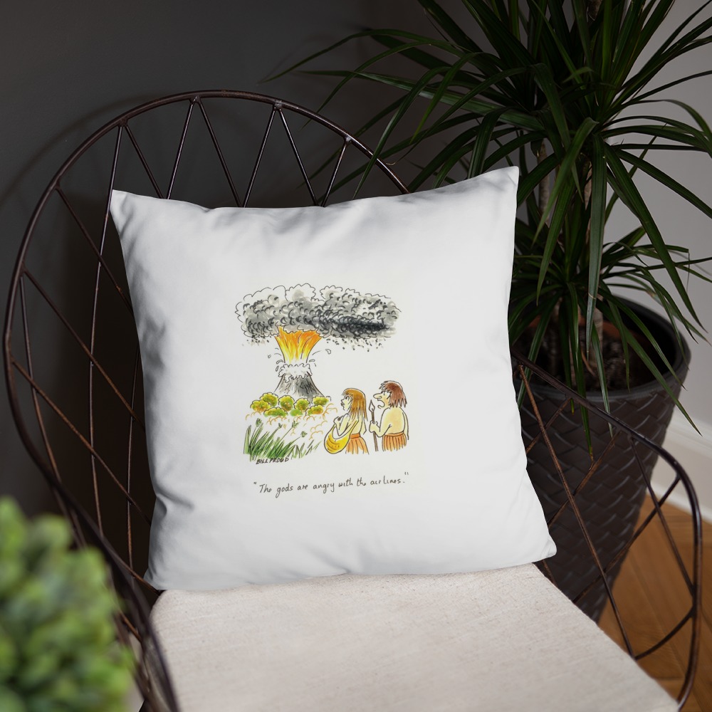 Premium Pillow