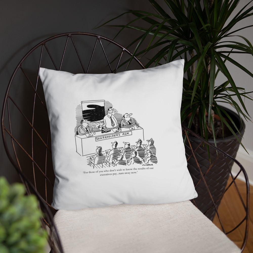 Premium Pillow